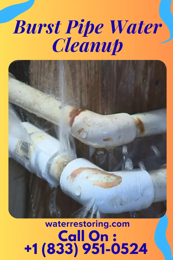 Burst Pipe Water Cleanup in Rocky Point, WA