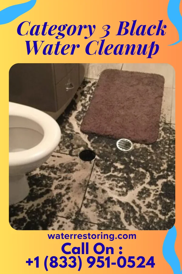 Category 3 Black Water Cleanup in Rocky Point, WA