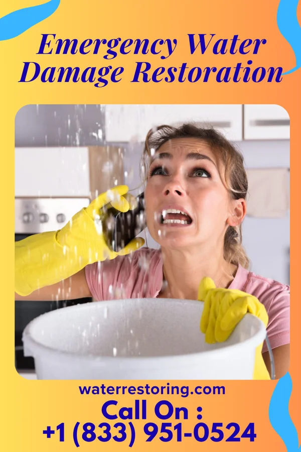 Emergency Water Damage Restoration in Rocky Point, WA