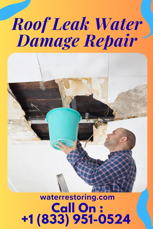 Roof Leak Water Damage Repair in Rocky Point, WA